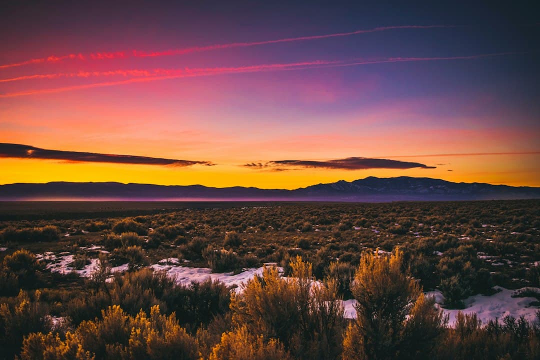 Téléviseur 4K affichant un paysage coloré très détaillé